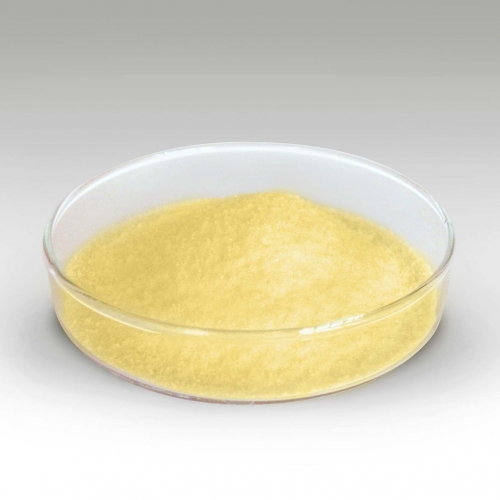 黄瓜视频成人在线观看化工